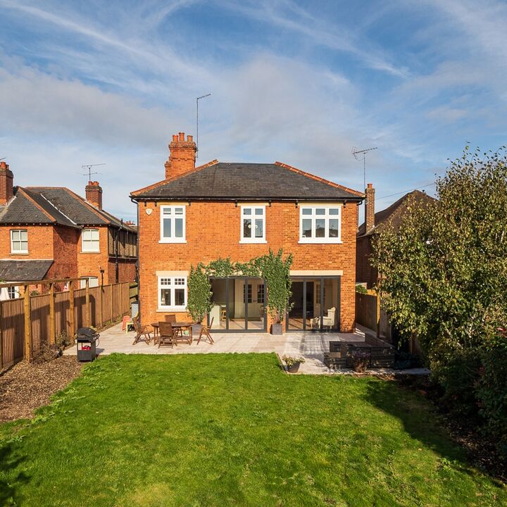 14b. 201009-140 rear elevation with climbers.jpg