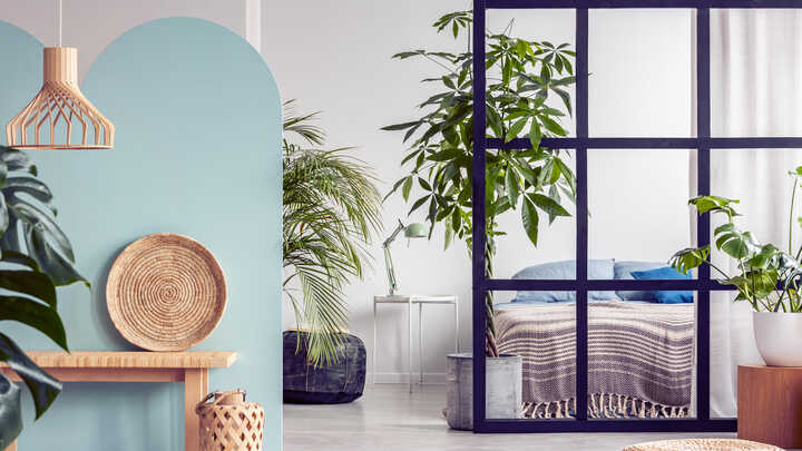 Open living space bedroom and living room with various large house plants