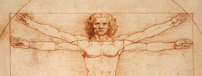 The Vitruvian Man