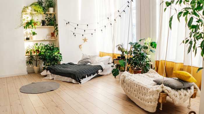 Living space with light colours and various house plants