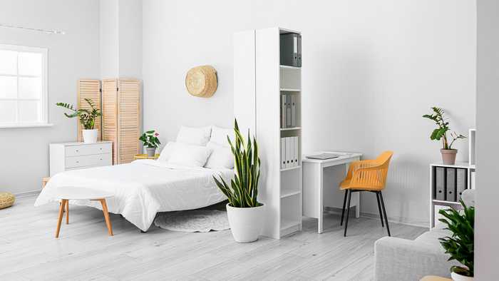 Large modern bedroom with white furniture with pops of colour and house plants
