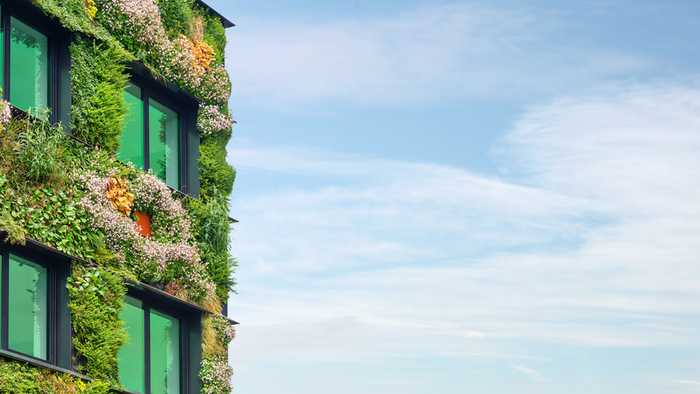 eco-friendly housing