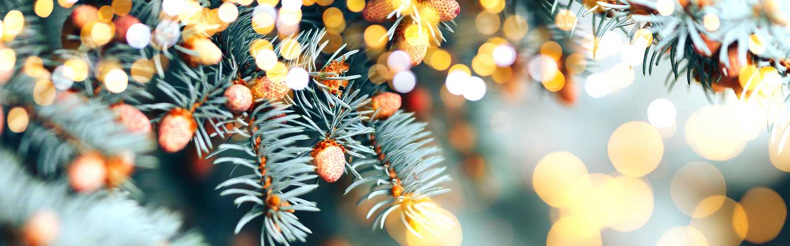 Close up of Christmas tree and fairy lights
