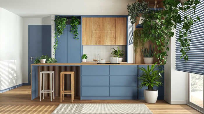 biophilic design in a modern kitchen biophilic design in a modern kitchen